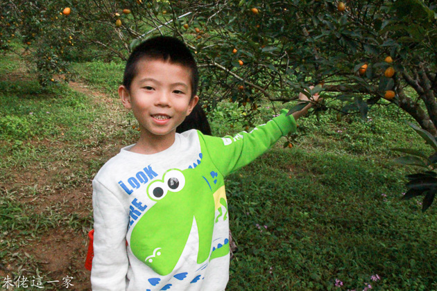 IMG_0532-2.jpg IMG_0532-2.jpg