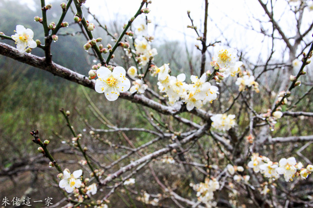 IMG_0993.jpg IMG_0993.jpg