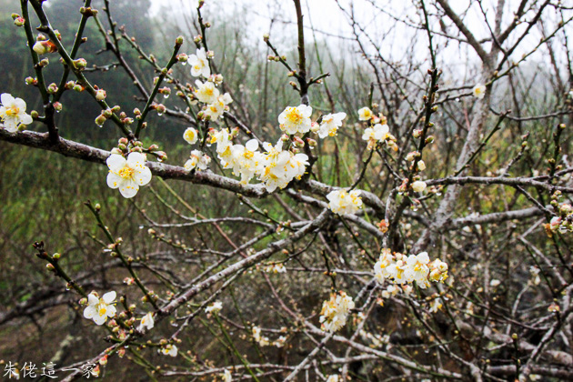 IMG_0992.jpg IMG_0992.jpg