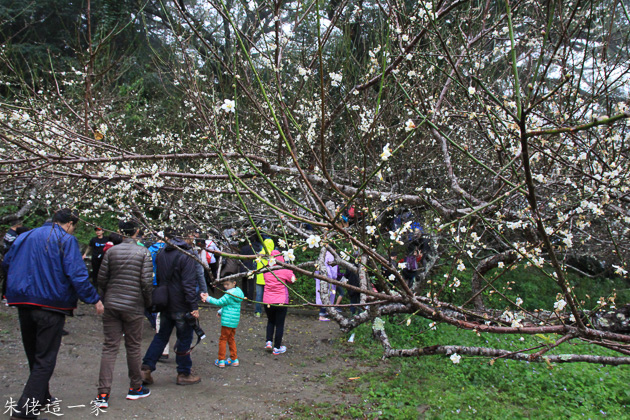 IMG_0997.jpg IMG_0997.jpg