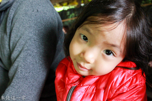 IMG_1053.jpg IMG_1053.jpg