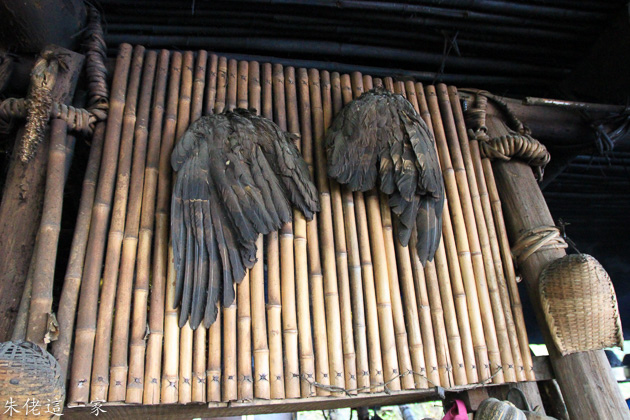 IMG_1093.jpg IMG_1093.jpg