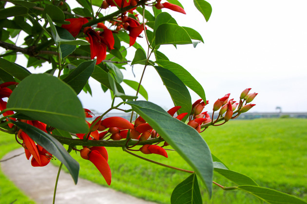 IMG_0036.jpg IMG_0036.jpg