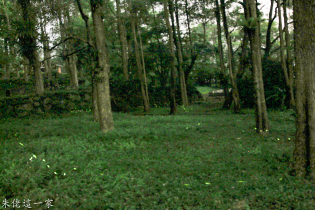 IMG_0245-2.jpg IMG_0245-2.jpg