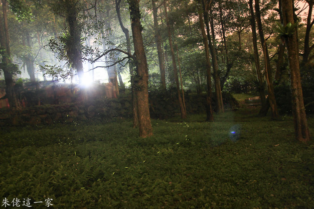 IMG_0254-2.jpg IMG_0254-2.jpg