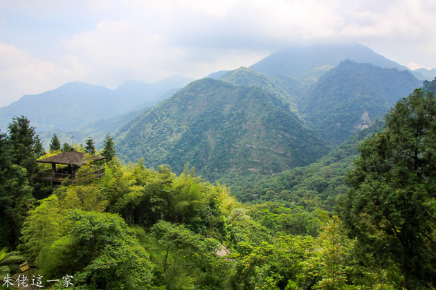 IMG_0495.jpg IMG_0495.jpg