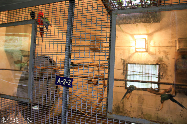 IMG_0499.jpg IMG_0499.jpg