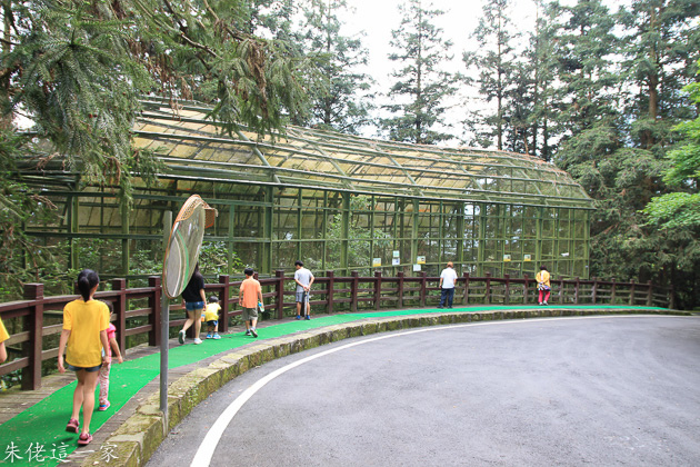 IMG_0503.jpg IMG_0503.jpg