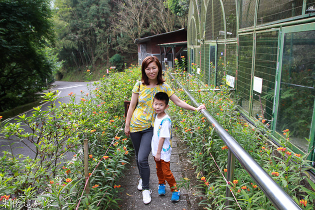 IMG_0509.jpg IMG_0509.jpg