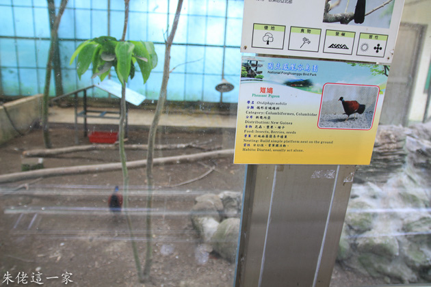 IMG_0511.jpg IMG_0511.jpg