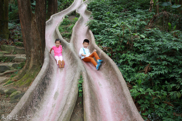 IMG_0525.jpg IMG_0525.jpg