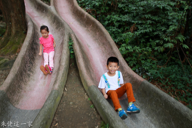 IMG_0528.jpg IMG_0528.jpg