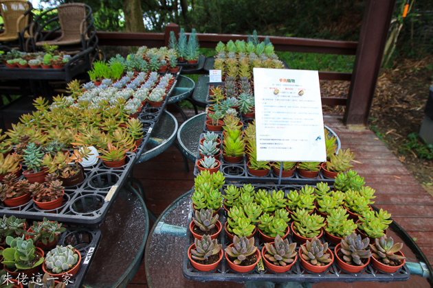 IMG_0015.jpg IMG_0015.jpg