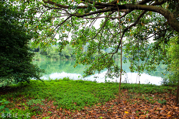 IMG_0052.jpg IMG_0052.jpg