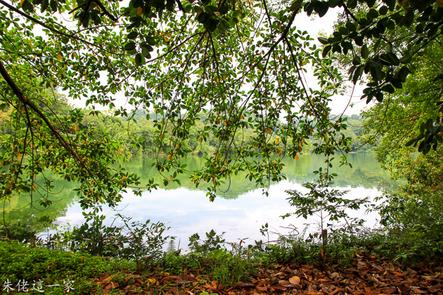 IMG_0053.jpg IMG_0053.jpg