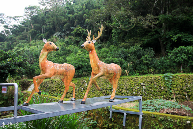 IMG_0109.jpg IMG_0109.jpg