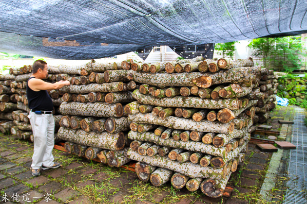 IMG_0117.jpg IMG_0117.jpg