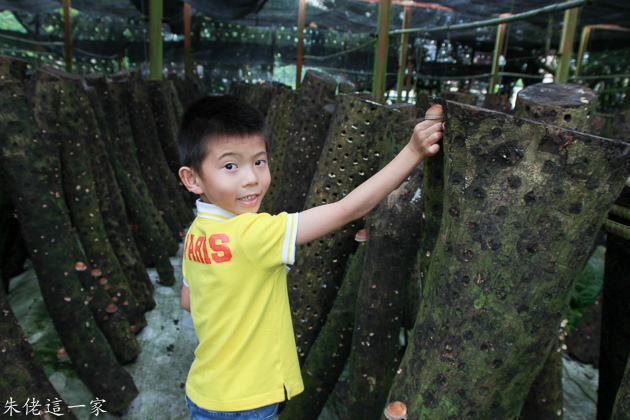 IMG_0123.jpg IMG_0123.jpg