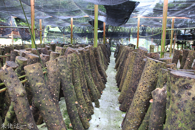 IMG_0131.jpg IMG_0131.jpg