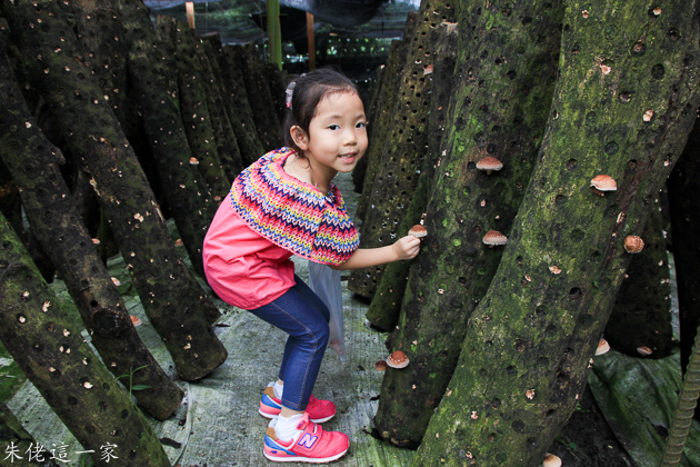 IMG_0132.jpg IMG_0132.jpg