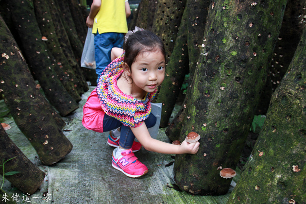 IMG_0135.jpg IMG_0135.jpg