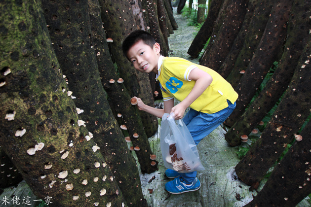 IMG_0137.jpg IMG_0137.jpg