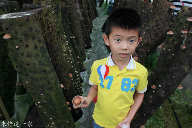 IMG_0141.jpg IMG_0141.jpg