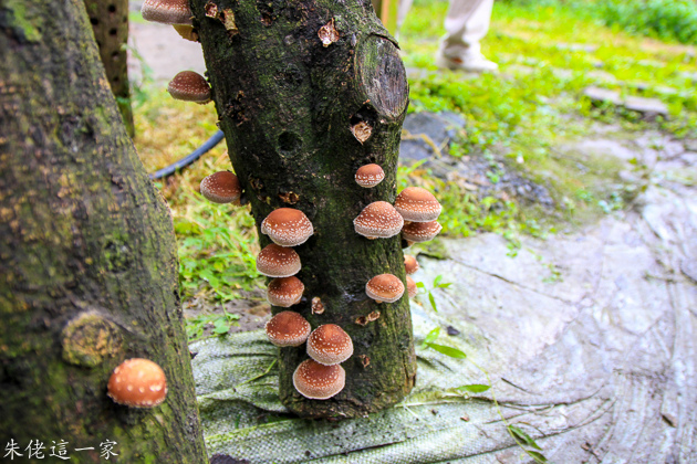 IMG_0145.jpg IMG_0145.jpg