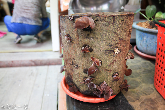 IMG_0193.jpg IMG_0193.jpg