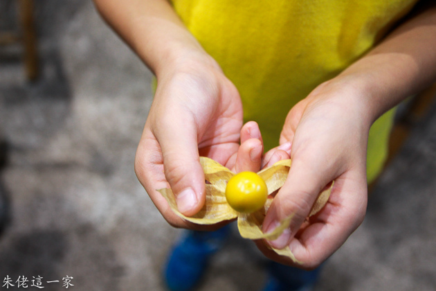 IMG_0200.jpg IMG_0200.jpg