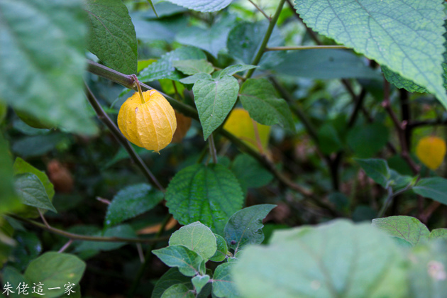 IMG_0204.jpg IMG_0204.jpg