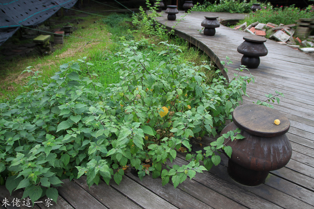 IMG_0202.jpg IMG_0202.jpg