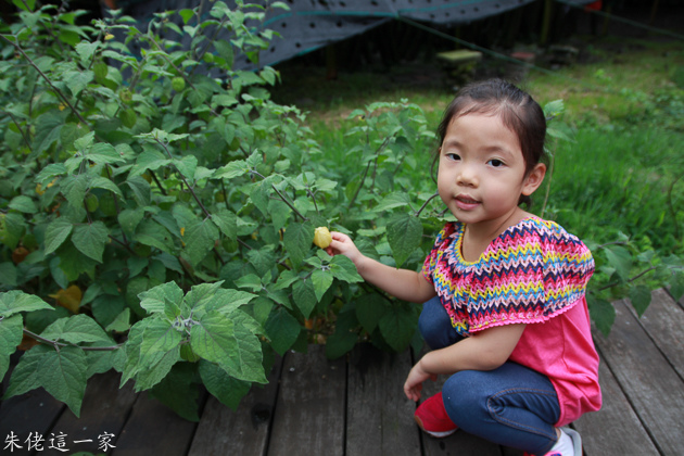 IMG_0207.jpg IMG_0207.jpg