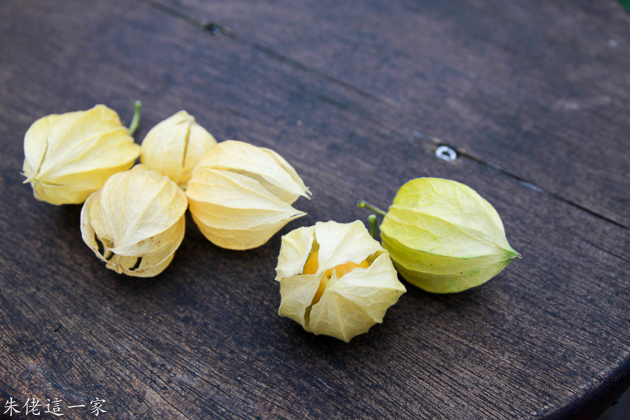 IMG_0209.jpg IMG_0209.jpg