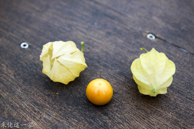 IMG_0211.jpg IMG_0211.jpg