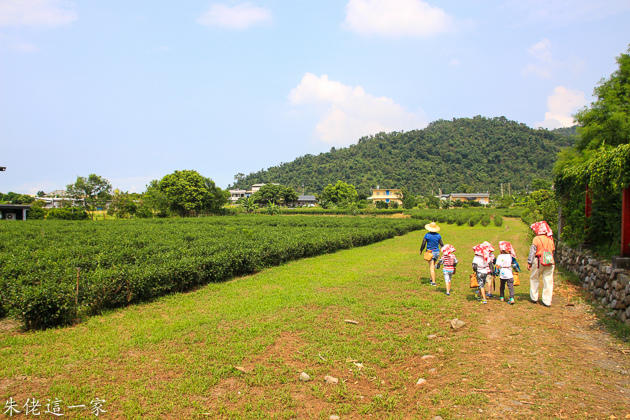 IMG_0233.jpg IMG_0233.jpg