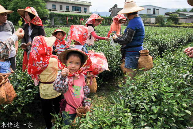 IMG_0237.jpg IMG_0237.jpg