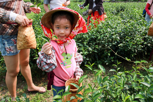 IMG_0241.jpg IMG_0241.jpg