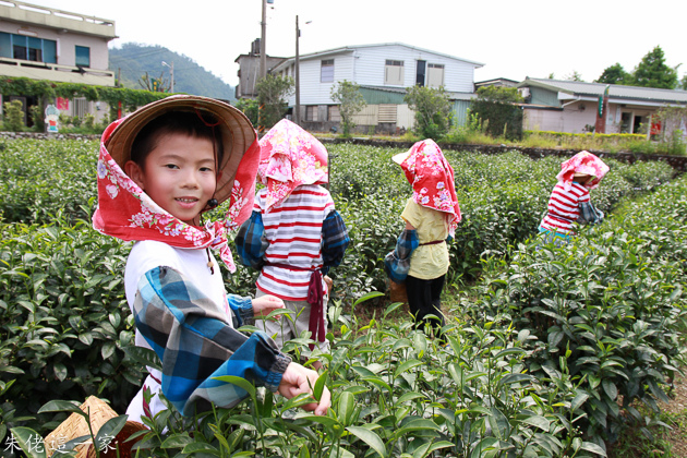 IMG_0244.jpg IMG_0244.jpg