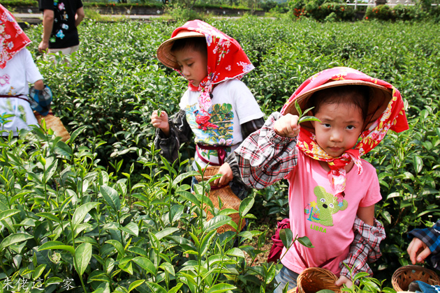 IMG_0257.jpg IMG_0257.jpg