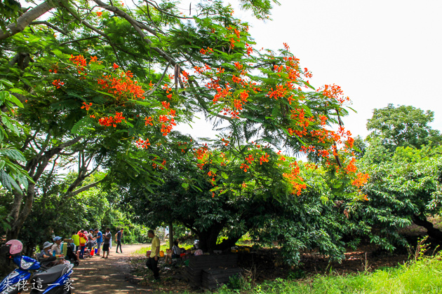 IMG_0062.jpg IMG_0062.jpg