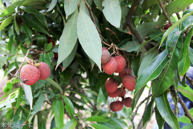 IMG_0076.jpg IMG_0076.jpg