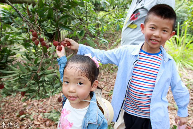 IMG_0082.jpg IMG_0082.jpg