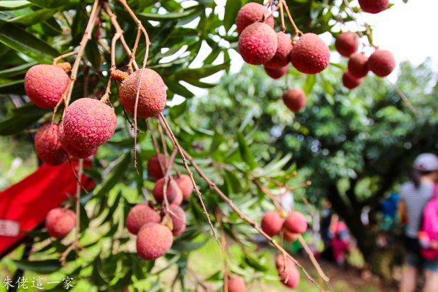 IMG_0089.jpg IMG_0089.jpg