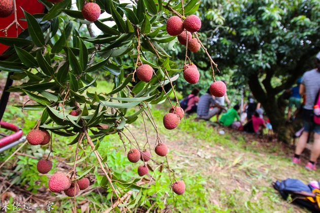 IMG_0088.jpg IMG_0088.jpg