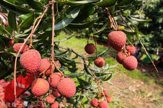 IMG_0091.jpg IMG_0091.jpg