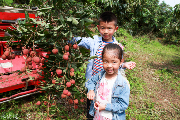 IMG_0098.jpg IMG_0098.jpg