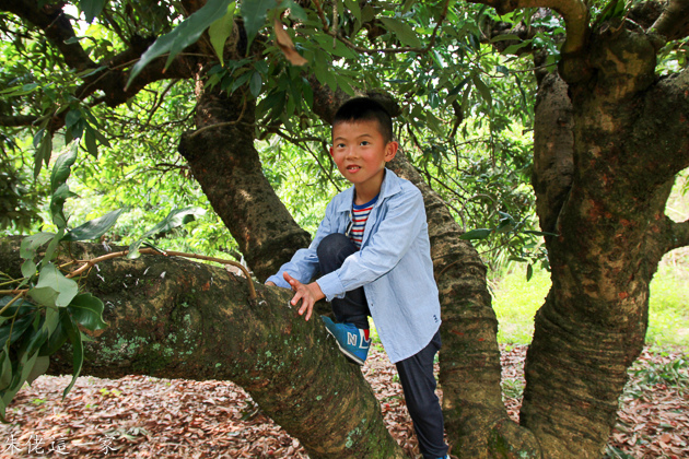 IMG_0105.jpg IMG_0105.jpg