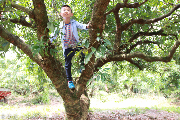 IMG_0117.jpg IMG_0117.jpg