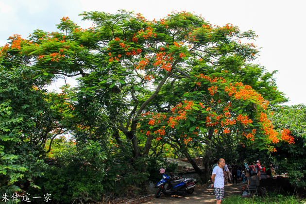 IMG_0120.jpg IMG_0120.jpg